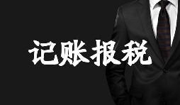 新成立的公司記賬報稅方面有哪些選擇？
