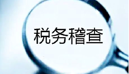 2020年稅務(wù)稽查怎么進行？
