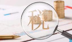 電子稅務(wù)局1月新增重點(diǎn)功能！速看！