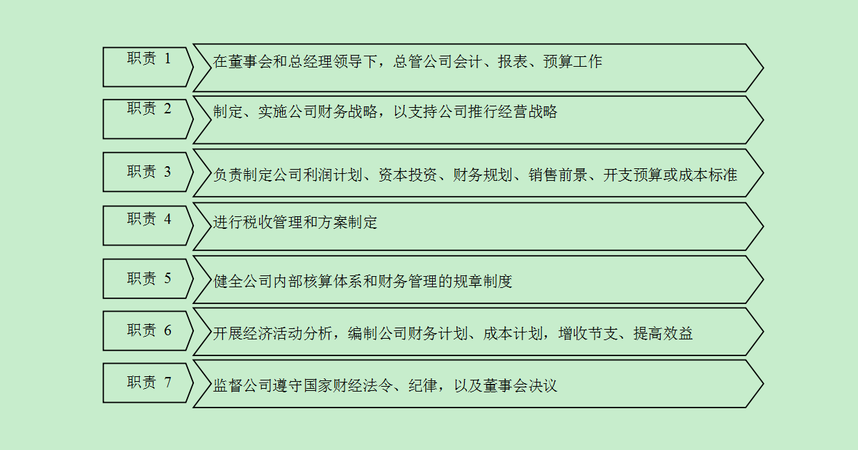 財(cái)務(wù)總監(jiān)的職責(zé) 財(cái)務(wù)總監(jiān)的職責(zé)