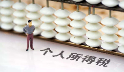 如何在網(wǎng)上打印個(gè)人所得稅納稅記錄？