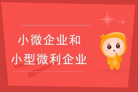 小微企業(yè)和小型微利企業(yè)有什么區(qū)別？