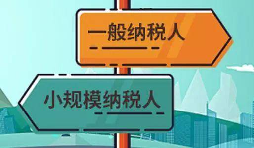 注冊(cè)公司是選擇一般納稅人還是小規(guī)模納稅人？